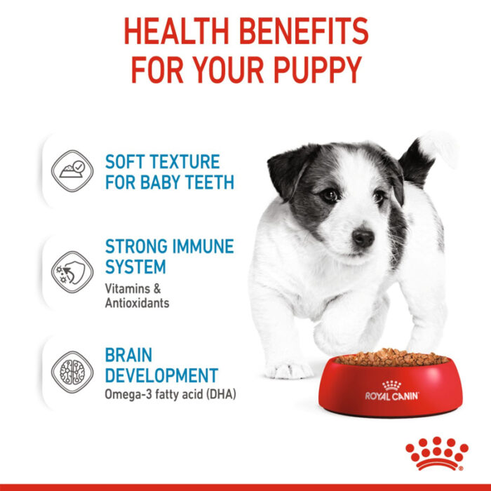 RC mini puppy wet food3