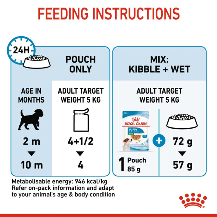 RC mini puppy wet food5