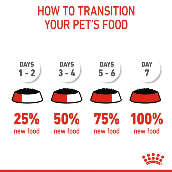 RC mini puppy wet food6