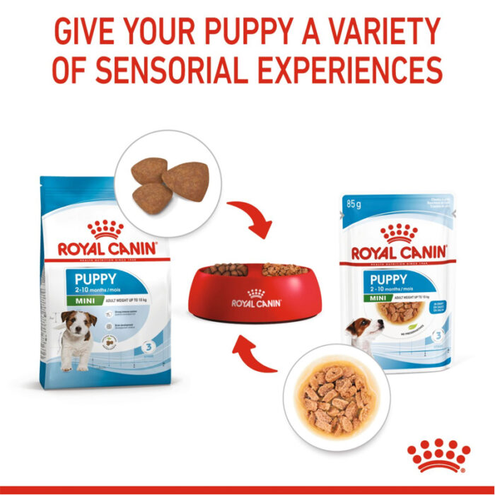 RC mini puppy wet food8