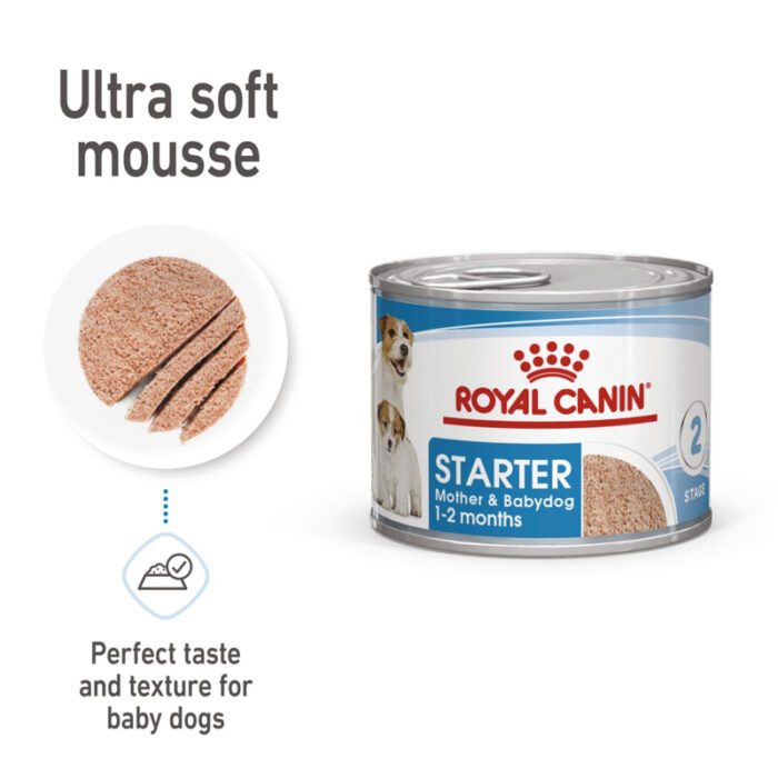 RC starter wet dog food1