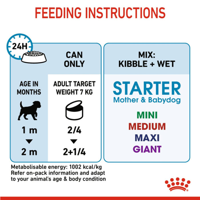RC starter wet dog food5