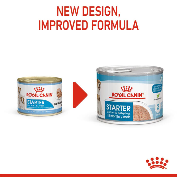 RC starter wet dog food8