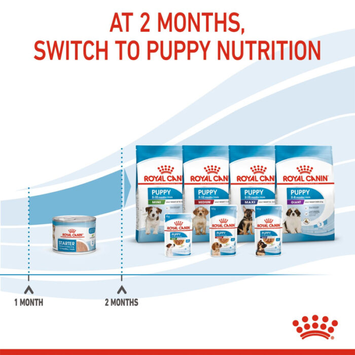 RC starter wet dog food9