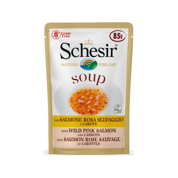schesir soup salmon and carrots3