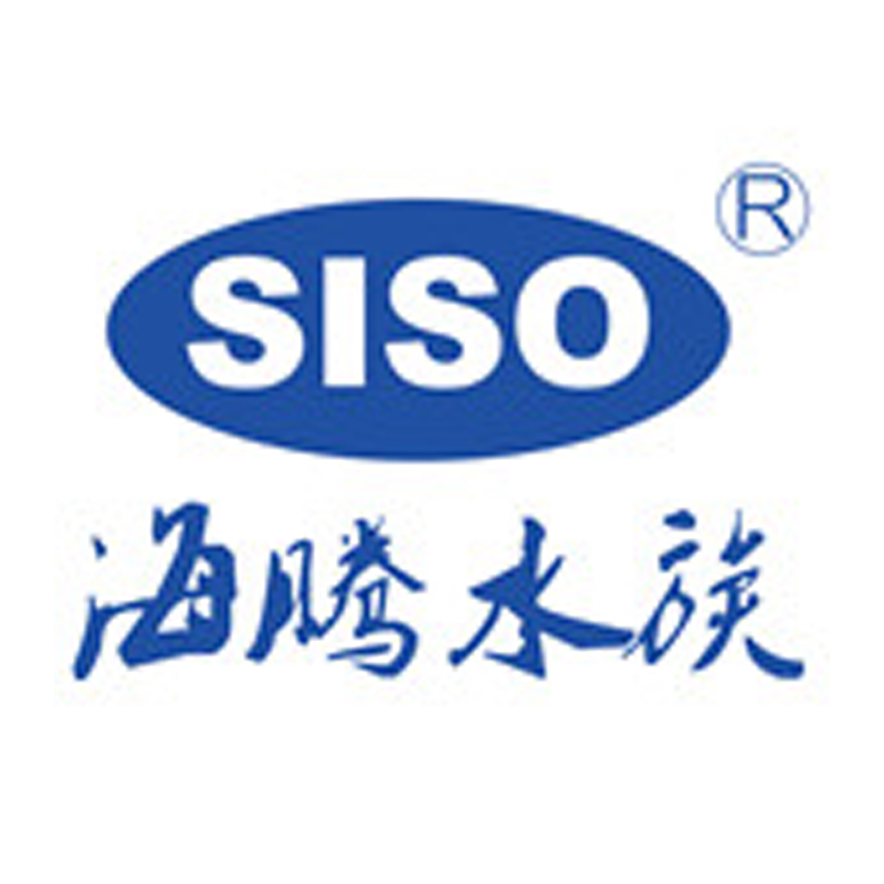 Siso