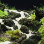 Tankii Natural Black Lava Stone Rocks for Aquarium Fish Tank Decoration / 1Kg - Image 3