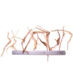 Tankii Aquarium Decorations Natural Rhododendron Root Landscape Twisted Driftwood Root Wood Accessories / 1Kg - Image 2