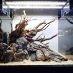 Tankii Aquarium Decorations Natural Rhododendron Root Landscape Twisted Driftwood Root Wood Accessories / 1Kg - Image 6
