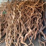 Tankii Fine Strip Azalea Root Landscaping Landscape Driftwood Underwater Decoration Aquatic Decoration, Aquatic Rhododendron Root for Aquarium / 1Kg