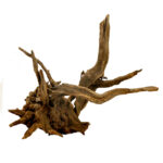 Tankii Aquarium Fish tank Landscaping Driftwood Large Natural Polished Sunken Wood / 1Kg - Image 2