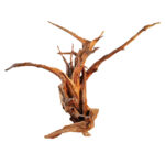 Tankii Aquarium Fish tank Landscaping Driftwood Large Natural Polished Sunken Wood / 1Kg - Image 4