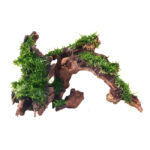 Tankii Aquarium Fish tank Landscaping Driftwood Large Natural Polished Sunken Wood / 1Kg - Image 6