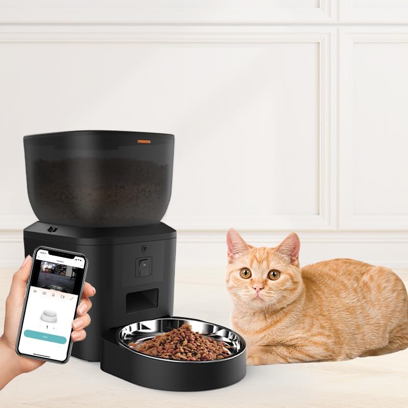 time cat feeder