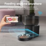TaraPet APP Controlled with Freshness Preservation, Timed Cat Feeder with Stainless Steel Bowl. UK plug, 4L, Smart 480P camera Pet feeder, one bowl, black, white - Image 4