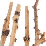 Tankii Natural Forest Branch for Terrarium Wood Aquarium Ornament and Landscaping Aquarium / 1Kg