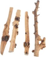 Tankii Natural Forest Branch for Terrarium Wood Aquarium Ornament and Landscaping Aquarium / 1Kg