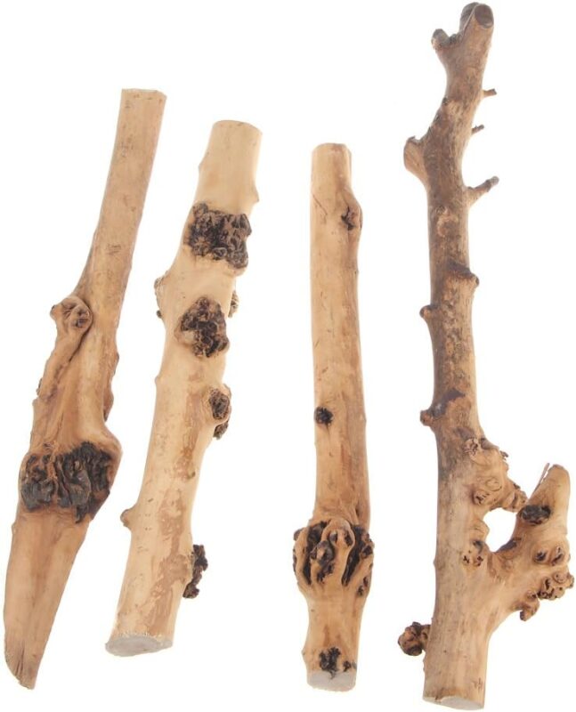Tankii Natural Forest Branch for Terrarium Wood Aquarium Ornament and Landscaping Aquarium / 1Kg