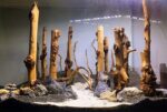 Tankii Natural Forest Branch for Terrarium Wood Aquarium Ornament and Landscaping Aquarium / 1Kg - Image 2