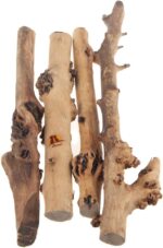 Tankii Natural Forest Branch for Terrarium Wood Aquarium Ornament and Landscaping Aquarium / 1Kg - Image 4