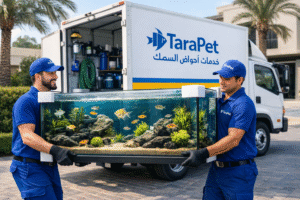 Professional Aquarium Relocation