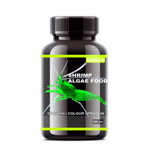 eagle shrimp algae wafer TaraPet