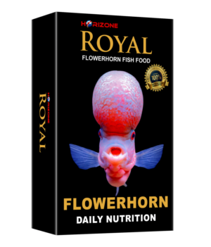 royal flowerhorn food diet TaraPet