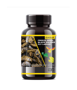 black soldier fly larvae TaraPet