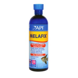 api tea tree medication TaraPet