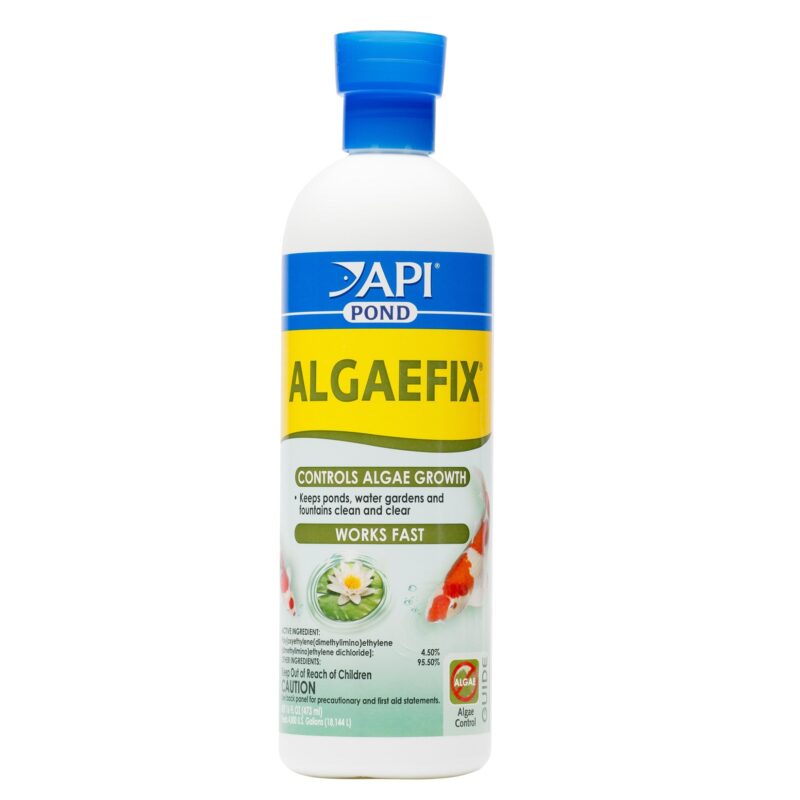 API Pond Algaefix 16 oz