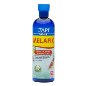 api tea tree medicine TaraPet