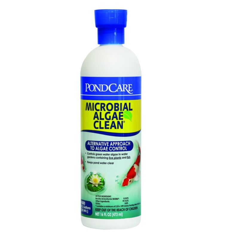 API Pond Microbial Algae Clean 16 oz