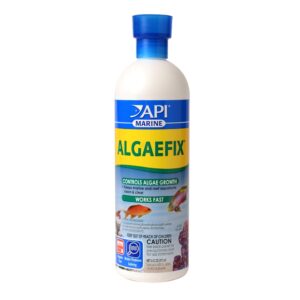 api marine algae remover TaraPet