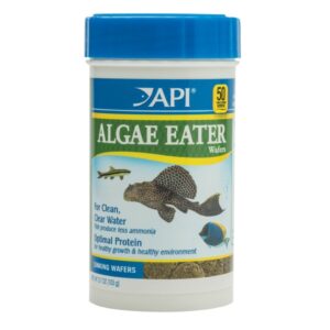 api pleco sinking wafers TaraPet