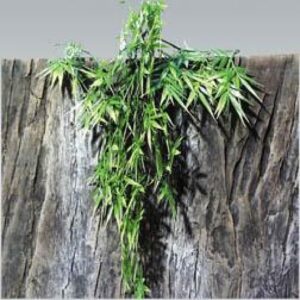 jbl terraplanta bamboo decoration TaraPet