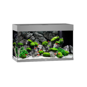 juwel rio starter grey TaraPet