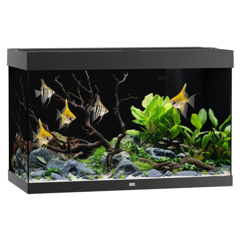 JUWEL Rio 290 LED Black