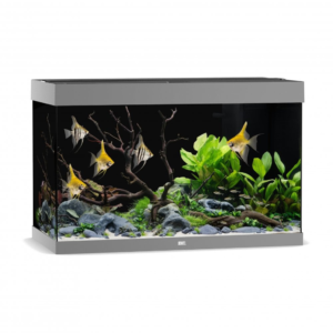 juwel rio fishtank grey TaraPet