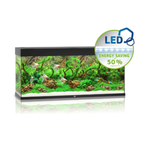 juwel rio aquascape black TaraPet