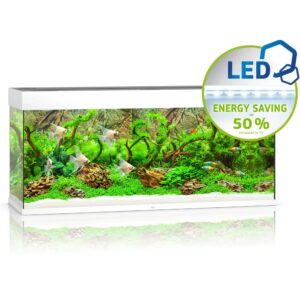 juwel rio aquascape white TaraPet