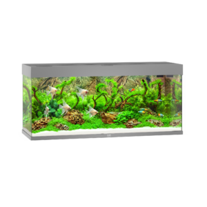 juwel rio aquascape grey TaraPet