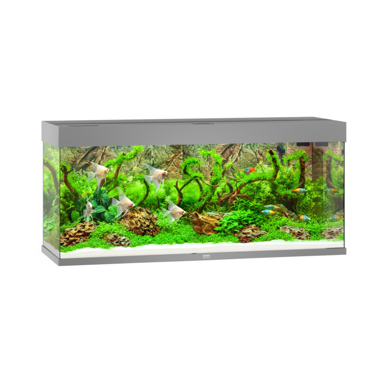 JUWEL Rio 240 LED Grey