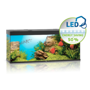 juwel rio aquarium black TaraPet