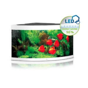 juwel trigon aquarium white TaraPet