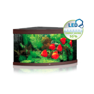 juwel trigon aquarium dark TaraPet
