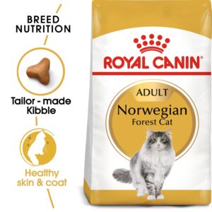 royal canin norwegian forest TaraPet