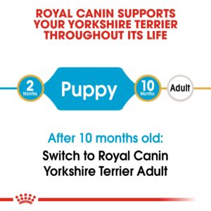 royal canin yorkshire puppy TaraPet