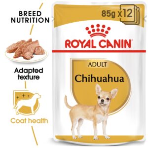 royal canin chihuahua wet TaraPet