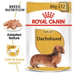 royal canin dachshund wet TaraPet