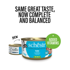 schesir cat jelly tuna TaraPet